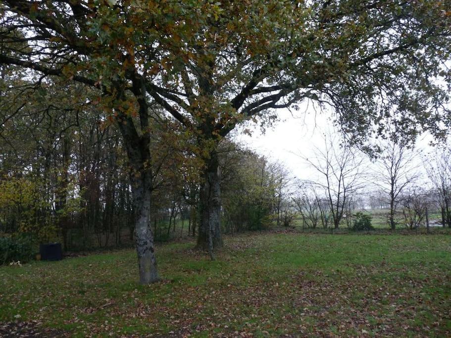 Charmante Maison En Campagne Grand-Fougeray المظهر الخارجي الصورة